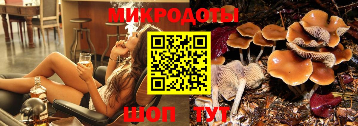 Псилоцибиновые грибы Psilocybine cubensis Магадан