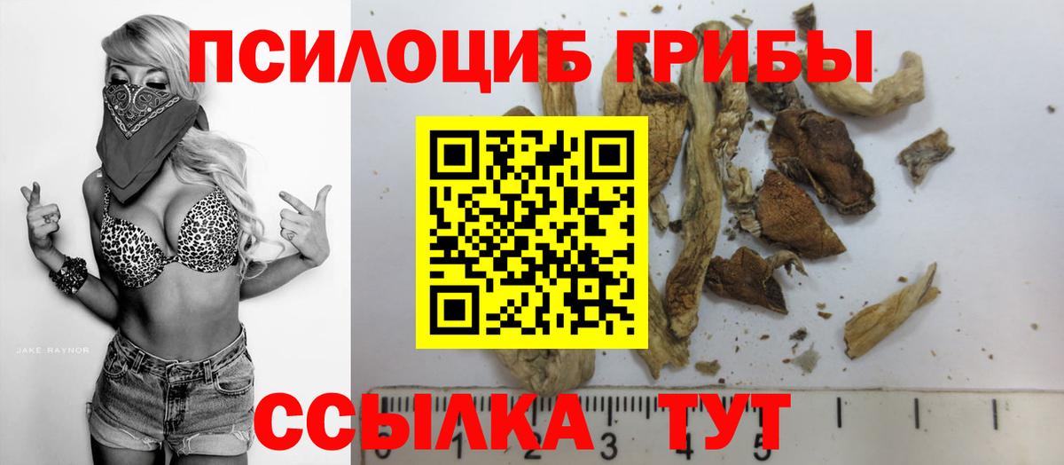 Псилоцибиновые грибы прущие грибы  Псилоцибиновые грибы Cubensis  продажа наркотиков  Вход с VPN  Магадан 